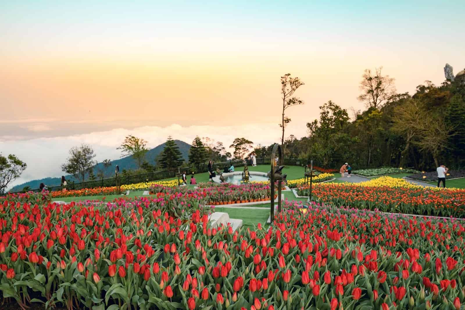 Vườn Hoa Le Jardin D’Amour – Thiên Đường Lãng Mạn Tại Bà Nà Hills.