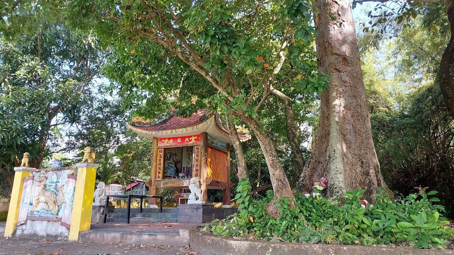 Miếu Thái Giám là công trình duy nhất còn tồn tại trong tứ miếu của làng Phong Nam xưa.